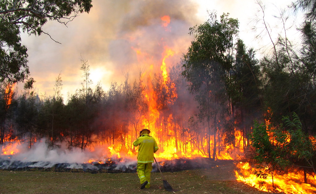 Sohealthy-post-bush-fire-featured-image