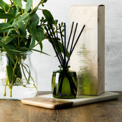 Healthy Home