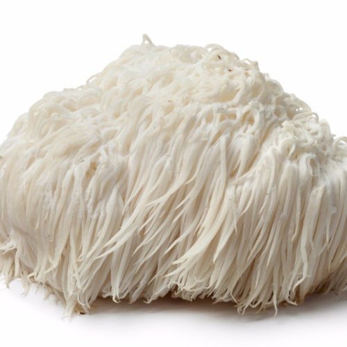 lions mane mushroom extract coffee liquid extract