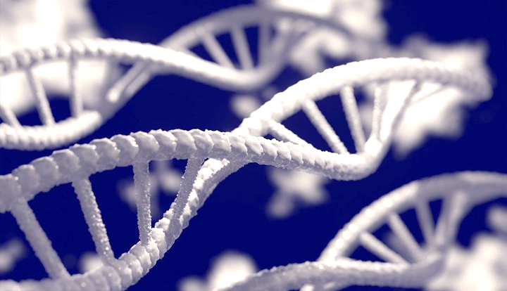 DNA Repair