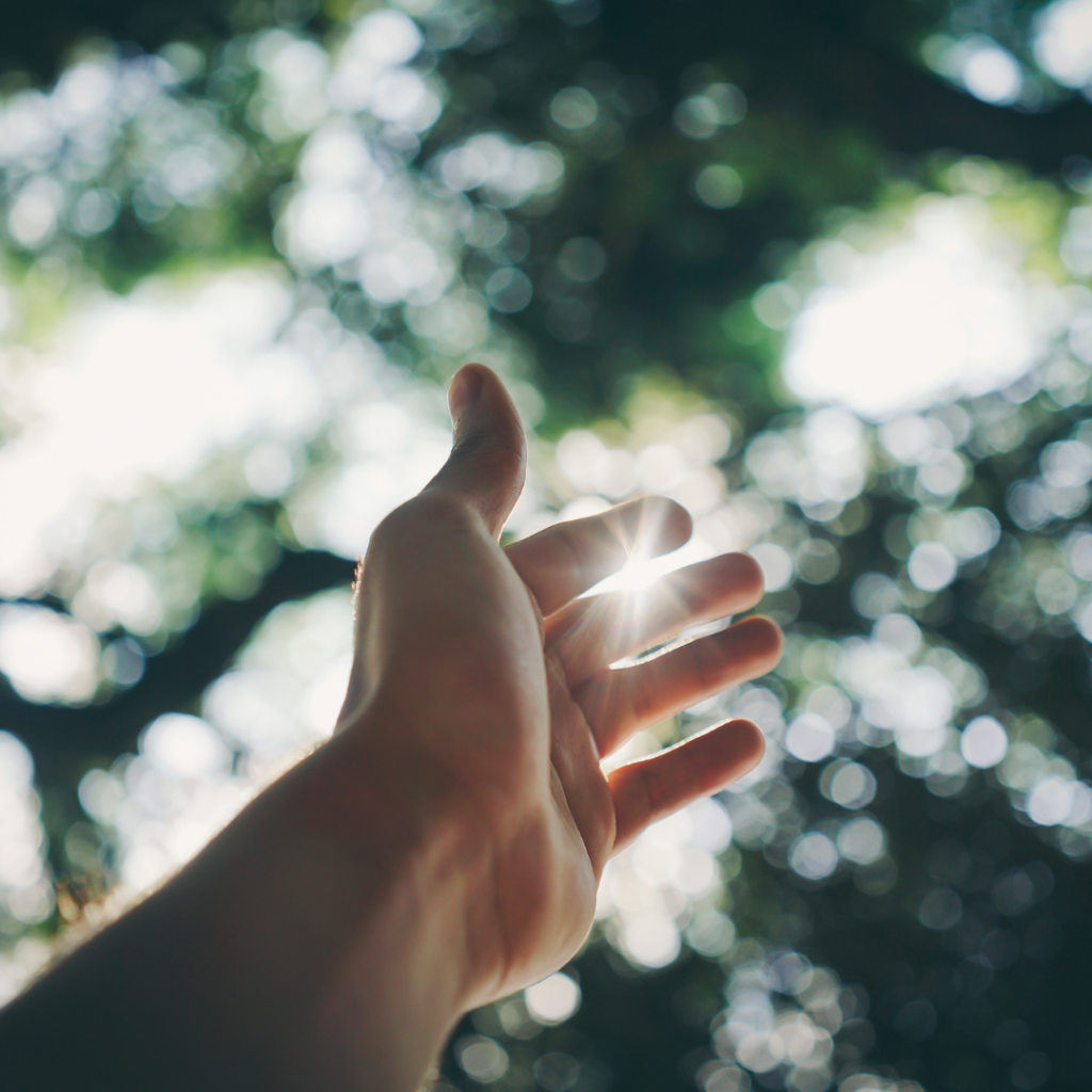 Supplement Guide: Vitamin D is naturally found in sunlight. During periods of sunlight, vitamin D is stored in fat and is released when daylight is gone. Vitamin D is essential to regulate the minerals like calcium and phosphorus found in our body.