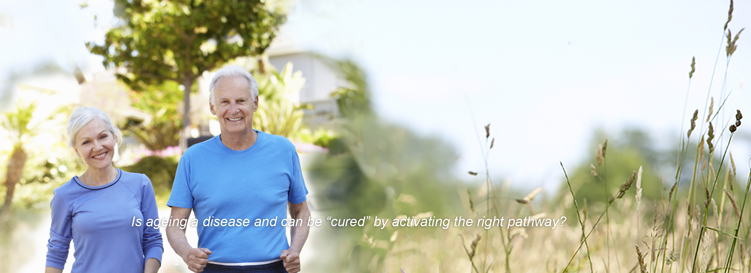 is aging a disease and can be cured?